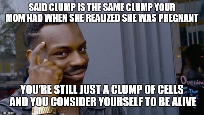 Roll Safe Think About It Meme | SAID CLUMP IS THE SAME CLUMP YOUR MOM HAD WHEN SHE REALIZED SHE WAS PREGNANT; YOU'RE STILL JUST A CLUMP OF CELLS AND YOU CONSIDER YOURSELF TO BE ALIVE | image tagged in memes,roll safe think about it | made w/ Imgflip meme maker