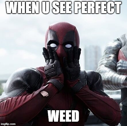 Deadpool Surprised | WHEN U SEE PERFECT; WEED | image tagged in memes,deadpool surprised | made w/ Imgflip meme maker