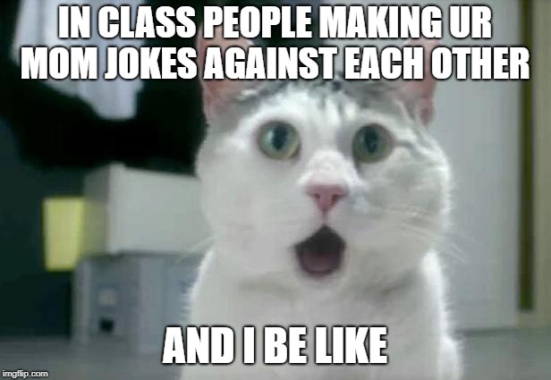 OMG Cat | IN CLASS PEOPLE MAKING UR MOM JOKES AGAINST EACH OTHER; AND I BE LIKE | image tagged in memes,omg cat | made w/ Imgflip meme maker