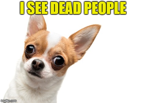 I SEE DEAD PEOPLE | made w/ Imgflip meme maker