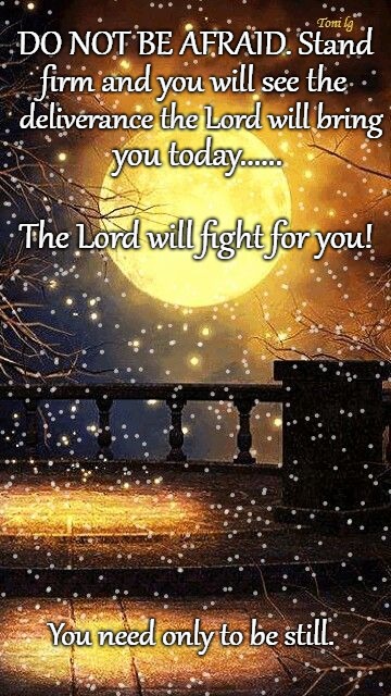 Exodus 13:13-14  Do Not Be Afraid Stand Firm The Lord Will Fight For You You Only Need To Be Still | DO NOT BE AFRAID. Stand; firm and you will see the; deliverance the Lord will bring; you today...... The Lord will fight for you! You need only to be still. | image tagged in bible,holy bible,faith,holy spirit,bible verse,god | made w/ Imgflip meme maker