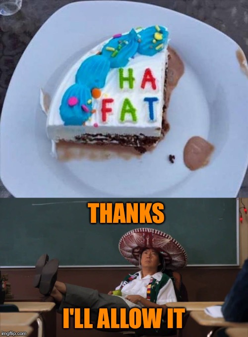 Ha!  Good cake cutting. | THANKS; I'LL ALLOW IT | image tagged in cake,insult,memes,funny | made w/ Imgflip meme maker