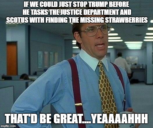 That Would Be Great Meme | IF WE COULD JUST STOP TRUMP BEFORE HE TASKS THE JUSTICE DEPARTMENT AND SCOTUS WITH FINDING THE MISSING STRAWBERRIES; THAT'D BE GREAT....YEAAAAHHH | image tagged in memes,that would be great | made w/ Imgflip meme maker