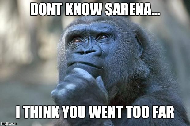 that is the question | DONT KNOW SARENA... I THINK YOU WENT TOO FAR | image tagged in that is the question | made w/ Imgflip meme maker
