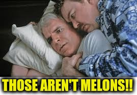 THOSE AREN'T MELONS!! | made w/ Imgflip meme maker