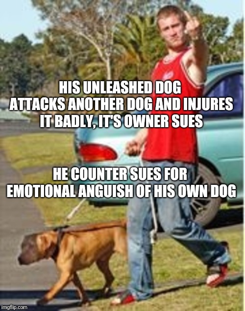 HIS UNLEASHED DOG ATTACKS ANOTHER DOG AND INJURES IT BADLY, IT'S OWNER SUES; HE COUNTER SUES FOR EMOTIONAL ANGUISH OF HIS OWN DOG | image tagged in dog owner douchebag | made w/ Imgflip meme maker