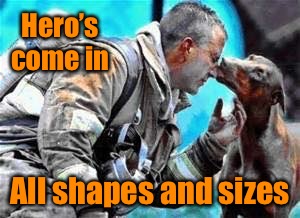 Rescue dog doubles as comfort dog to first responders on 9.11.01 | Hero’s come in; All shapes and sizes | image tagged in 911,never forget,hero,rescue dog,comfort dog | made w/ Imgflip meme maker