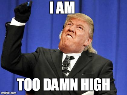 Trump on a Saturday | I AM; TOO DAMN HIGH | image tagged in memes,too damn high,donald trump,drugs | made w/ Imgflip meme maker