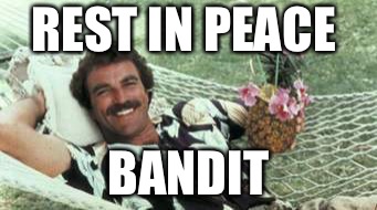Hawaiian Tom Selleck | REST IN PEACE; BANDIT | image tagged in hawaiian tom selleck | made w/ Imgflip meme maker