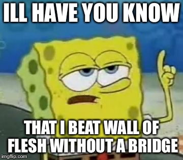 I'll Have You Know Spongebob Meme | ILL HAVE YOU KNOW; THAT I BEAT WALL OF FLESH WITHOUT A BRIDGE | image tagged in memes,ill have you know spongebob | made w/ Imgflip meme maker