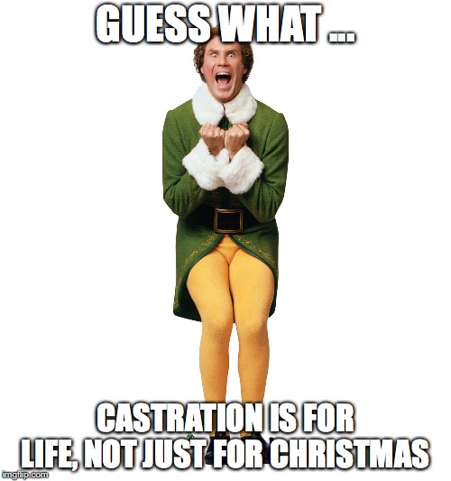 Christmas Elf | GUESS WHAT ... CASTRATION IS FOR LIFE, NOT JUST FOR CHRISTMAS | image tagged in christmas elf | made w/ Imgflip meme maker