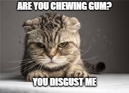 ARE YOU CHEWING GUM? YOU DISGUST ME | image tagged in theatre | made w/ Imgflip meme maker