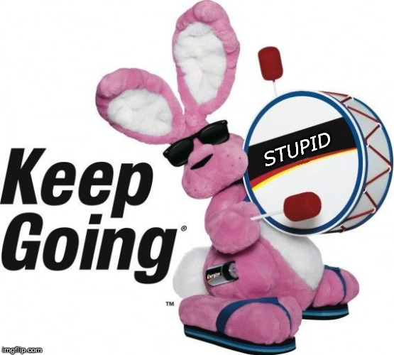 the Real Bunny that Cannot Be Stopped | STUPID | image tagged in bunny,keep going | made w/ Imgflip meme maker