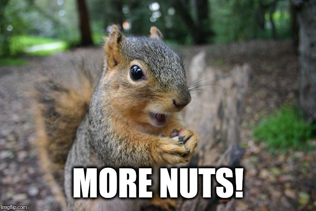 MORE NUTS! | made w/ Imgflip meme maker