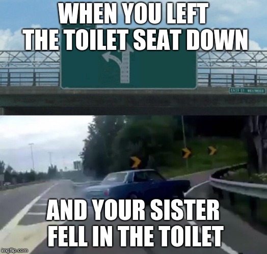 Car Drift Meme | WHEN YOU LEFT THE TOILET SEAT DOWN; AND YOUR SISTER FELL IN THE TOILET | image tagged in car drift meme | made w/ Imgflip meme maker