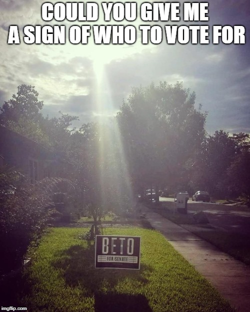 SIGN  | COULD YOU GIVE ME A SIGN OF WHO TO VOTE FOR | image tagged in vote,texas,beto,senate | made w/ Imgflip meme maker