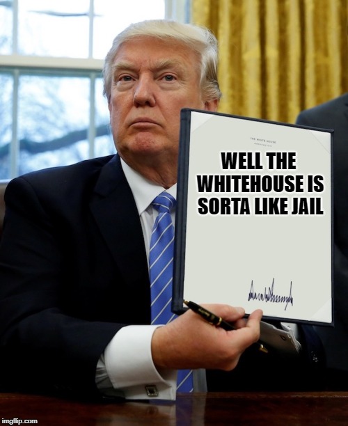 Executive order | WELL THE WHITEHOUSE IS SORTA LIKE JAIL | image tagged in executive order | made w/ Imgflip meme maker