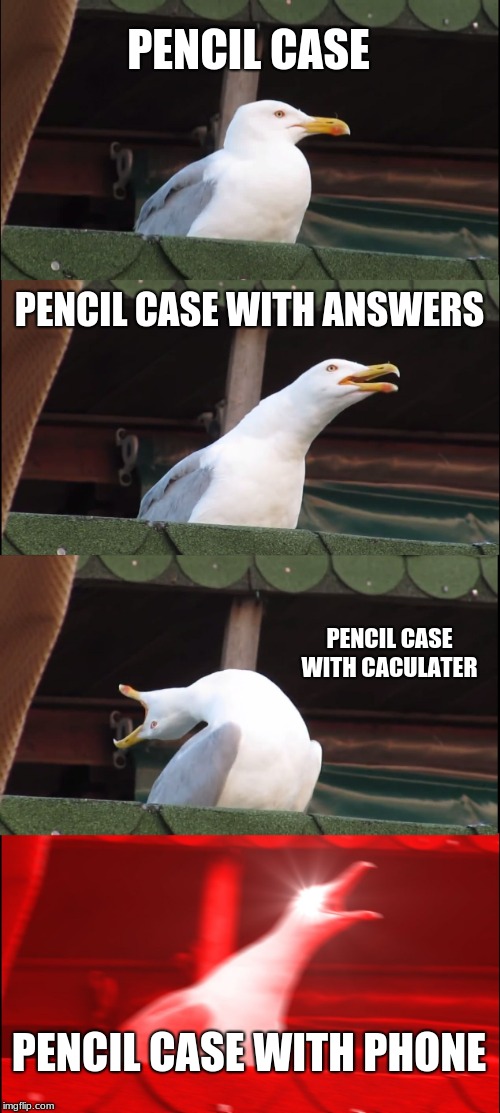 Inhaling Seagull Meme | PENCIL CASE; PENCIL CASE WITH ANSWERS; PENCIL CASE WITH CACULATER; PENCIL CASE WITH PHONE | image tagged in memes,inhaling seagull | made w/ Imgflip meme maker