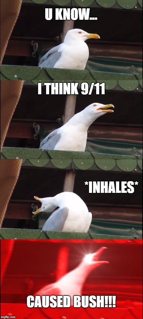 Inhaling Seagull Meme | U KNOW... I THINK 9/11; *INHALES*; CAUSED BUSH!!! | image tagged in memes,inhaling seagull | made w/ Imgflip meme maker