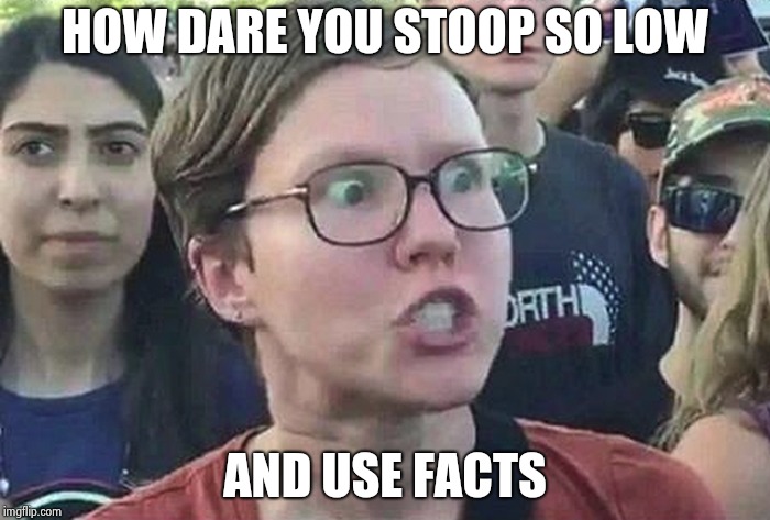 Triggered Liberal | HOW DARE YOU STOOP SO LOW AND USE FACTS | image tagged in triggered liberal | made w/ Imgflip meme maker