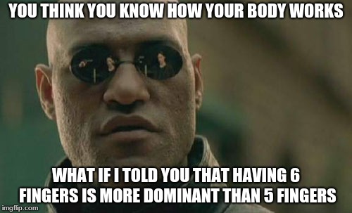 Matrix Morpheus Meme | YOU THINK YOU KNOW HOW YOUR BODY WORKS; WHAT IF I TOLD YOU THAT HAVING 6 FINGERS IS MORE DOMINANT THAN 5 FINGERS | image tagged in memes,matrix morpheus | made w/ Imgflip meme maker