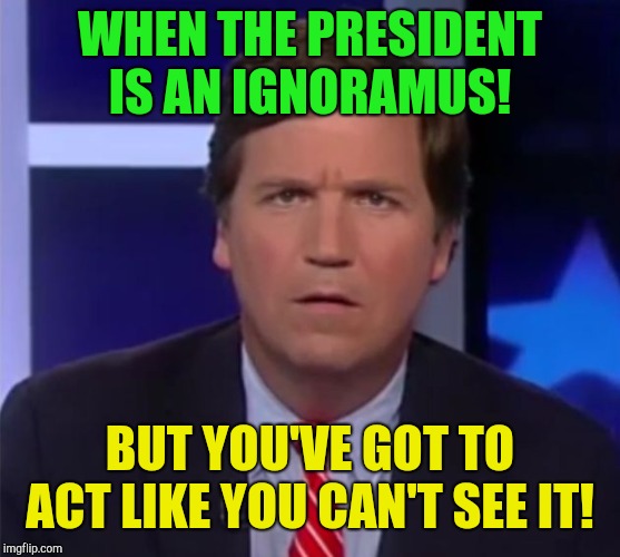 Quick!  Make the got your nose baby face!  | WHEN THE PRESIDENT IS AN IGNORAMUS! BUT YOU'VE GOT TO ACT LIKE YOU CAN'T SEE IT! | image tagged in tucker carlson,donald trump,ivanka trump,michael cohen,republicans,trump russia collusion | made w/ Imgflip meme maker
