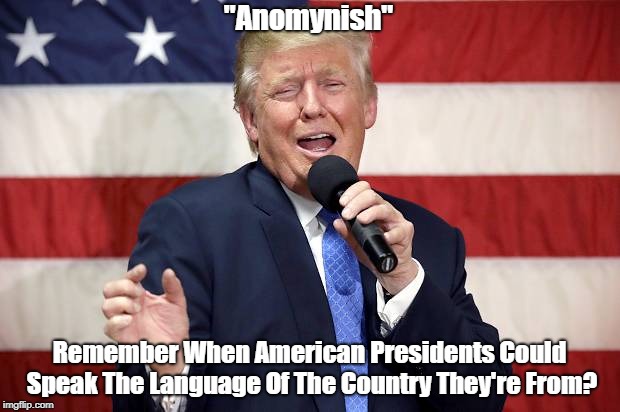 "Remember When American Presidents Could Speak The Language Of The Country They're From?" | "Anomynish" Remember When American Presidents Could Speak The Language Of The Country They're From? | image tagged in anomynish,deplorable donald,despicable donald,devious donald,dishonorable donald,deceitful donald | made w/ Imgflip meme maker