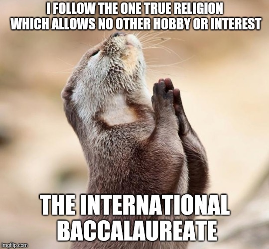 animal praying | I FOLLOW THE ONE TRUE RELIGION WHICH ALLOWS NO OTHER HOBBY OR INTEREST; THE INTERNATIONAL BACCALAUREATE | image tagged in animal praying | made w/ Imgflip meme maker