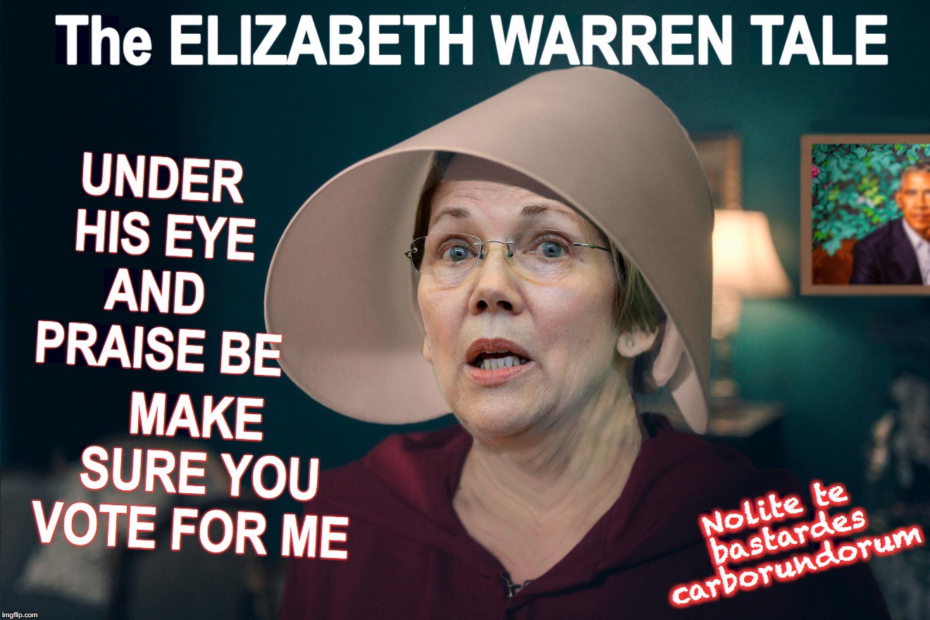 She's trying to move away from the 'Native American heritage' exploitation | N | image tagged in elizabeth warren | made w/ Imgflip meme maker