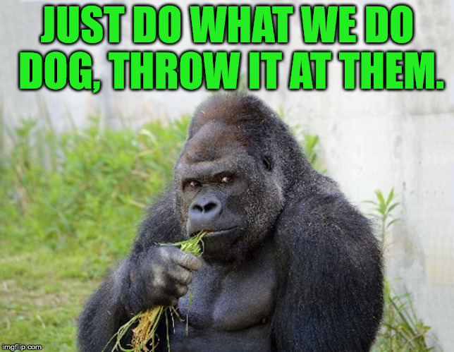 JUST DO WHAT WE DO DOG, THROW IT AT THEM. | image tagged in sexy monkey memes gorilla | made w/ Imgflip meme maker