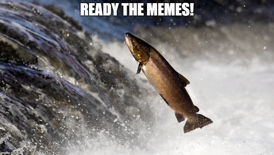 Salmon | READY THE MEMES! | image tagged in salmon | made w/ Imgflip meme maker