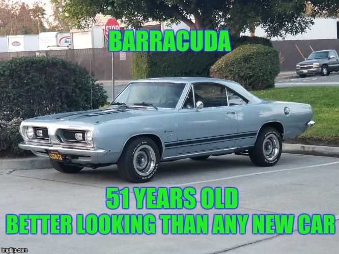 My Cuda | BARRACUDA; 51 YEARS OLD; BETTER LOOKING THAN ANY NEW CAR | image tagged in muscle car | made w/ Imgflip meme maker