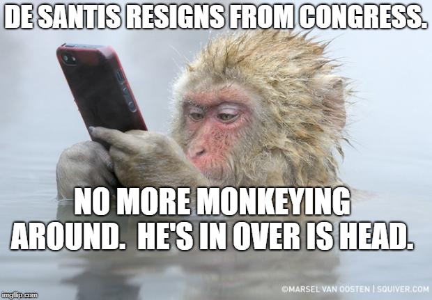 monkey mobile phone |  DE SANTIS RESIGNS FROM CONGRESS. NO MORE MONKEYING AROUND.  HE'S IN OVER IS HEAD. | image tagged in monkey mobile phone | made w/ Imgflip meme maker