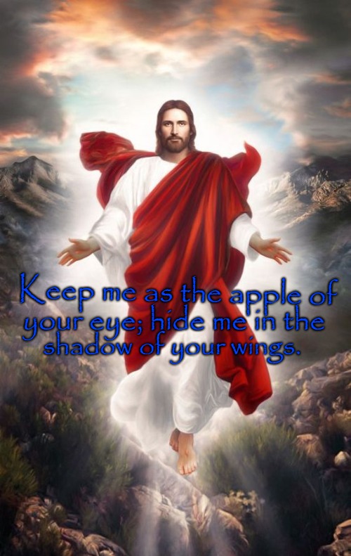Psalms 17:8 Keep Me As The Apple Of Your Eye Keep Me In The Shadow Of Your Wings
 | Keep me as the apple of; your eye; hide me in the; shadow of your wings. | image tagged in bible,holy bible,faith,holy spirit,bible verse,god | made w/ Imgflip meme maker