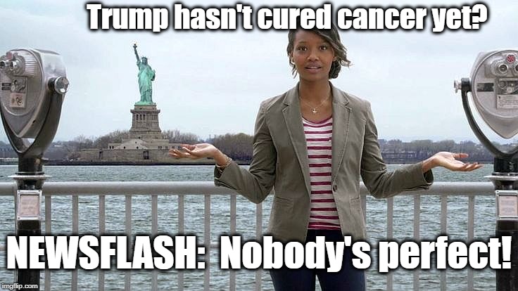 Even if he cured EVERY disease, he'd still be chastised and despised! lol | Trump hasn't cured cancer yet? NEWSFLASH:  Nobody's perfect! | image tagged in trump,hated,despised,stop cancer | made w/ Imgflip meme maker