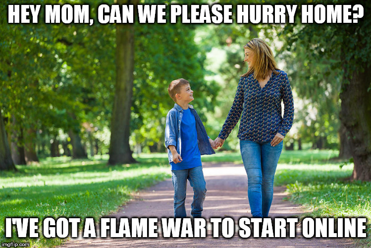 mom and son walking | HEY MOM, CAN WE PLEASE HURRY HOME? I'VE GOT A FLAME WAR TO START ONLINE | image tagged in mom and son walking | made w/ Imgflip meme maker