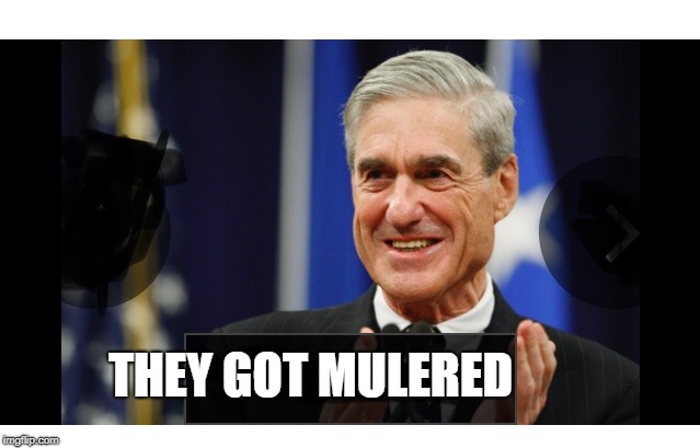 Robert Mueller is the six million dollar man | THEY GOT MULERED | image tagged in robert mueller is the six million dollar man | made w/ Imgflip meme maker