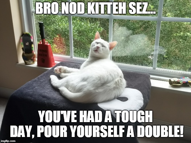 Bro Nod Kitteh | BRO NOD KITTEH SEZ... YOU'VE HAD A TOUGH DAY, POUR YOURSELF A DOUBLE! | image tagged in kitteh,double | made w/ Imgflip meme maker