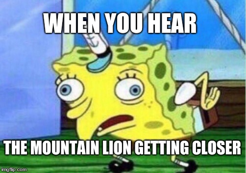 Mocking Spongebob Meme | WHEN YOU HEAR; THE MOUNTAIN LION GETTING CLOSER | image tagged in memes,mocking spongebob | made w/ Imgflip meme maker