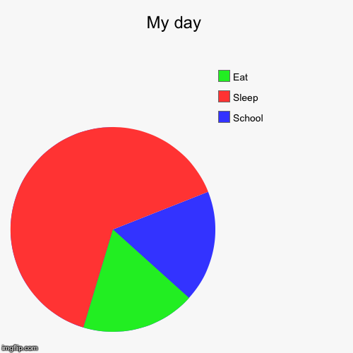 My day | School, Sleep, Eat | image tagged in funny,pie charts | made w/ Imgflip chart maker