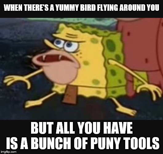 Caveman spongebob  | WHEN THERE'S A YUMMY BIRD FLYING AROUND YOU; BUT ALL YOU HAVE IS A BUNCH OF PUNY TOOLS | image tagged in caveman spongebob | made w/ Imgflip meme maker