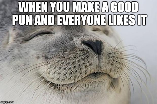 Satisfied Seal Meme | WHEN YOU MAKE A GOOD PUN AND EVERYONE LIKES IT | image tagged in memes,satisfied seal | made w/ Imgflip meme maker