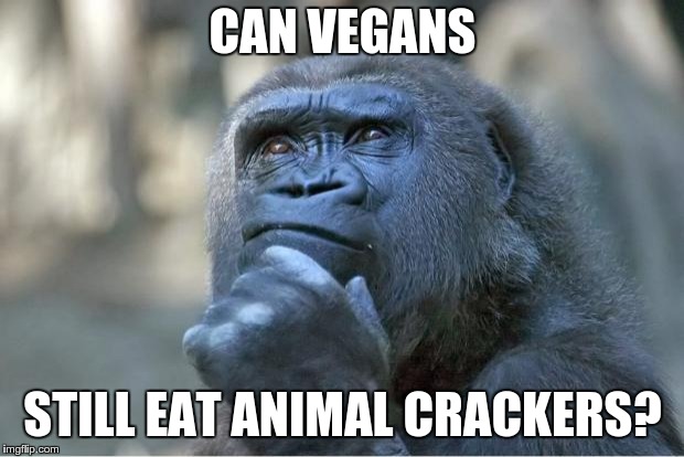 Philoso-gorilla | CAN VEGANS; STILL EAT ANIMAL CRACKERS? | image tagged in the thinking gorilla,animals,crackers,vegans | made w/ Imgflip meme maker