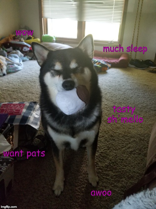 wow; much sleep; tasty sh'mello; want pats; awoo | made w/ Imgflip meme maker