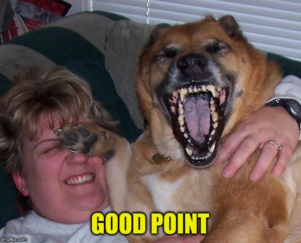 laughing dog | GOOD POINT | image tagged in laughing dog | made w/ Imgflip meme maker