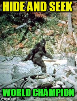 big foot | HIDE AND SEEK WORLD CHAMPION | image tagged in big foot | made w/ Imgflip meme maker