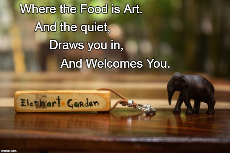 Elephant Garden. | And the quiet, Where the Food is Art. Draws you in, And Welcomes You. | image tagged in puerto escondido,playa zicatela,cafe | made w/ Imgflip meme maker