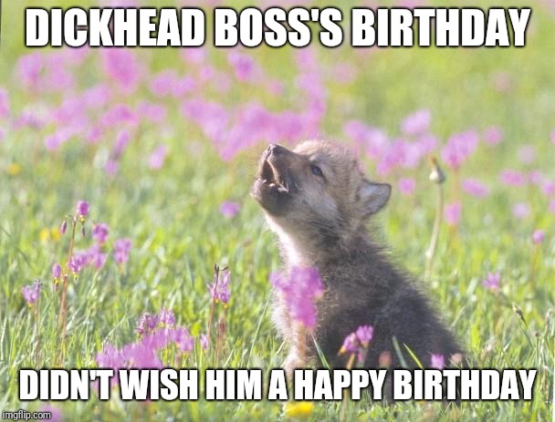 Baby Insanity Wolf | DICKHEAD BOSS'S BIRTHDAY; DIDN'T WISH HIM A HAPPY BIRTHDAY | image tagged in memes,baby insanity wolf,AdviceAnimals | made w/ Imgflip meme maker