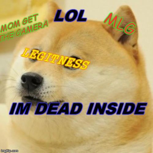 Doge Meme | LOL; MOM GET THE CAMERA; MLG; LEGITNESS; IM DEAD INSIDE | image tagged in memes,doge | made w/ Imgflip meme maker