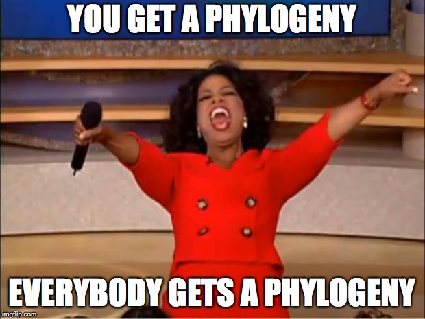 Oprah You Get A Meme | YOU GET A PHYLOGENY; EVERYBODY GETS A PHYLOGENY | image tagged in memes,oprah you get a | made w/ Imgflip meme maker